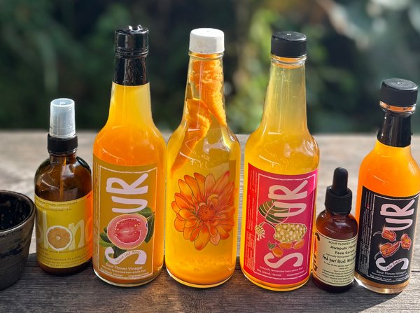 The Story of Vinegar