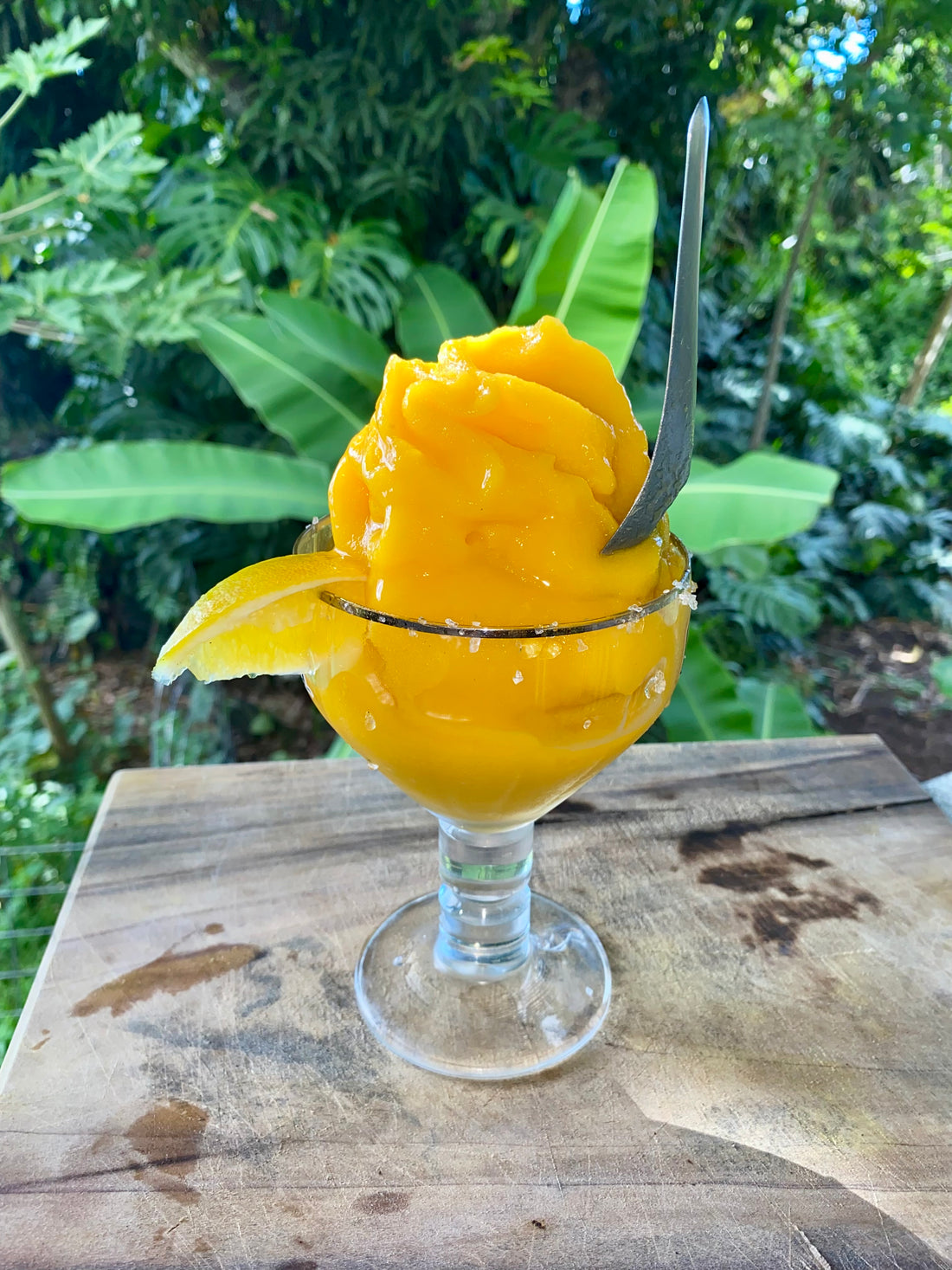 Frozen Mango Vinegar Margarita