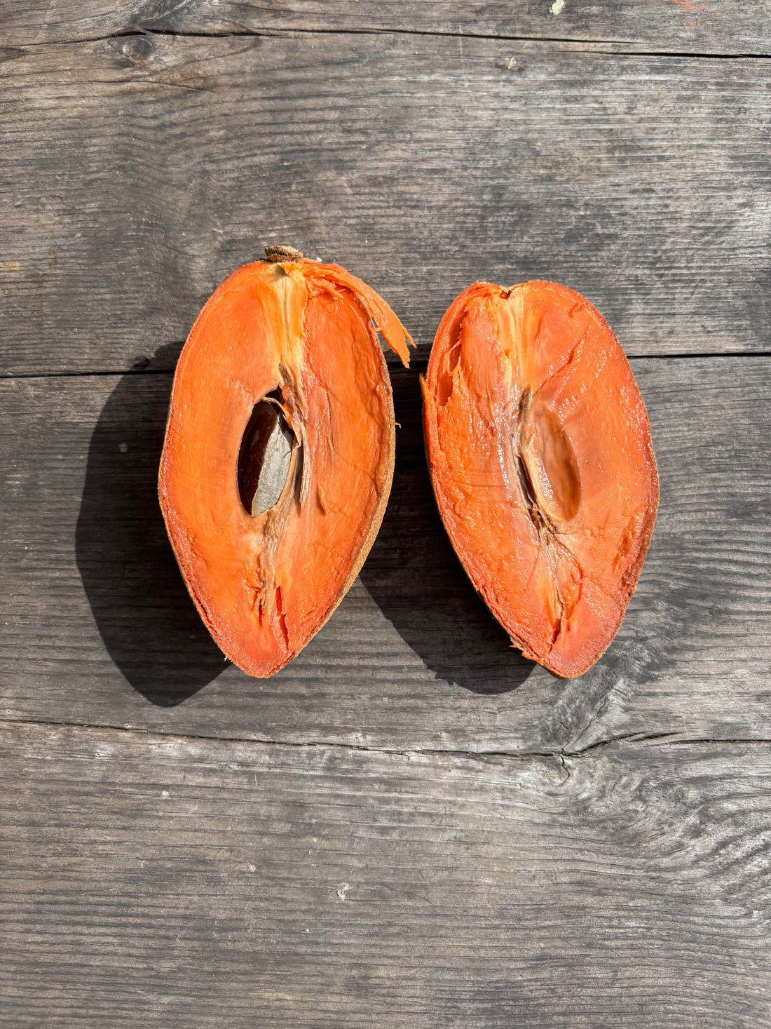 The Most Mind Blowing Versitile Fruit: Mamey Sapote