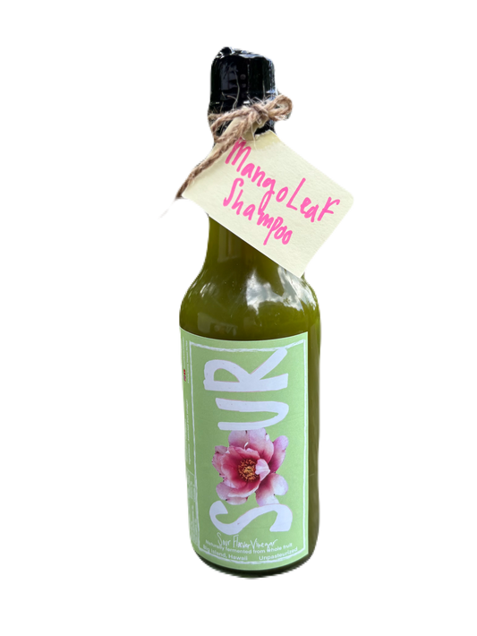 Mango Leaf Shampoo Vinegar 🌺💧🍴