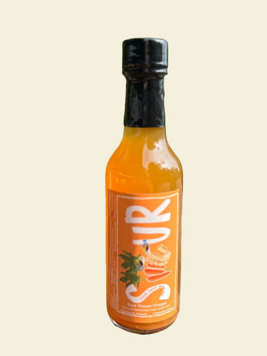 Lacto-Carrot Ginger Lime Leaf Vinegar Sauce 💧🍴